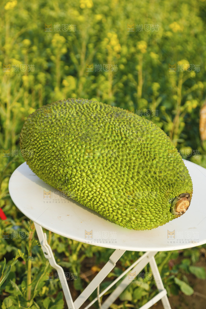 桌子上放着菠萝蜜