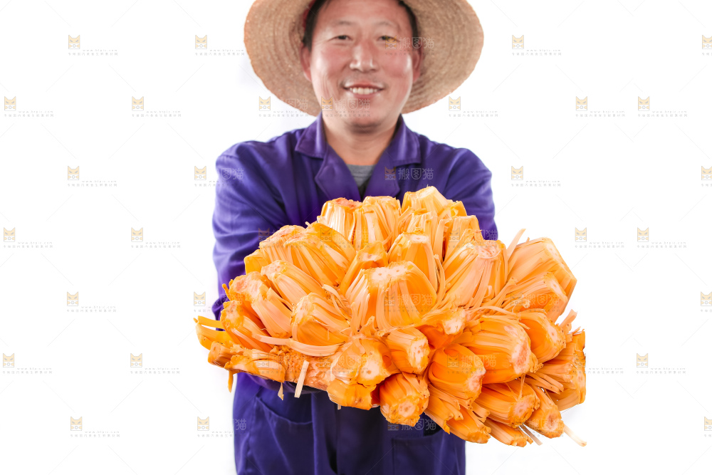 农民手里拿着红肉菠萝蜜