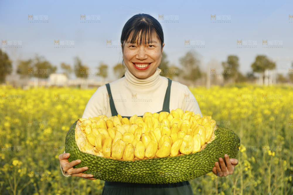 手里抱着黄肉菠萝蜜