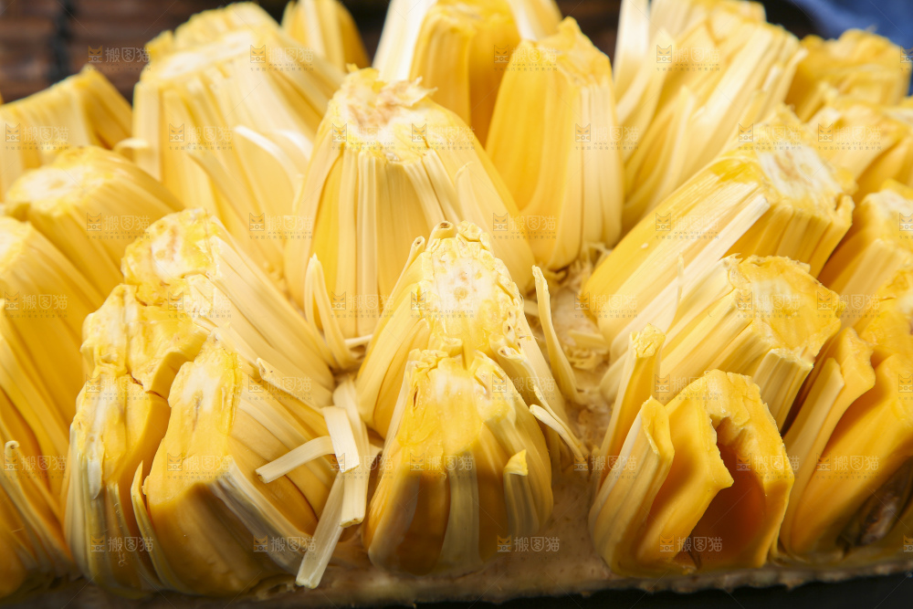 黑底上的黄心菠萝蜜