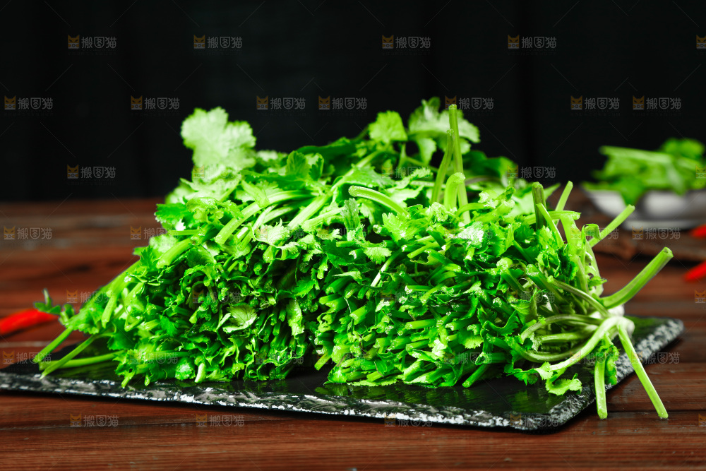 一堆四季香菜