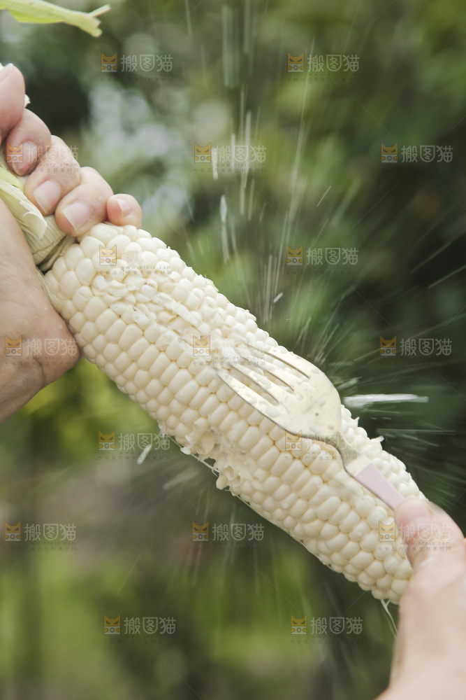 手里拿着白糯玉米棒