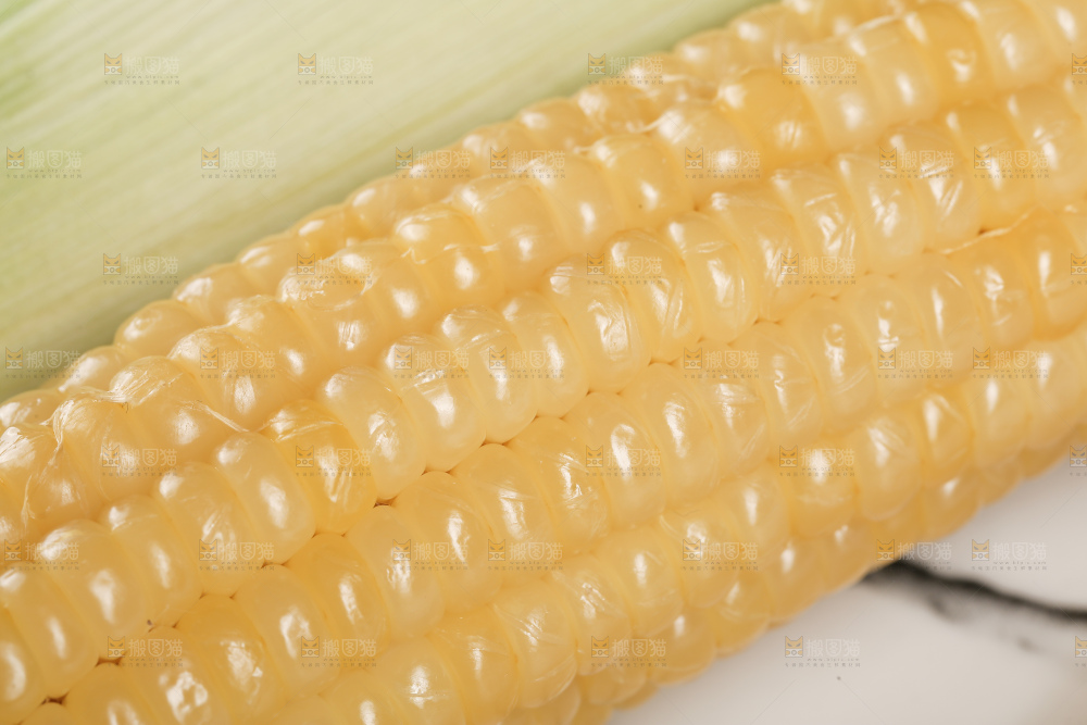 新鲜的白糯玉米棒