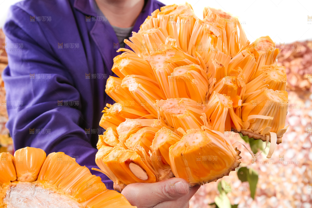 手里拿着红心菠萝蜜