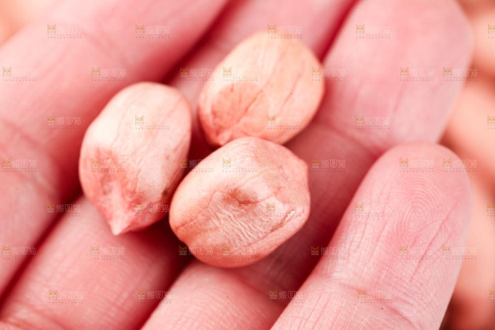 手里拿着花生仁