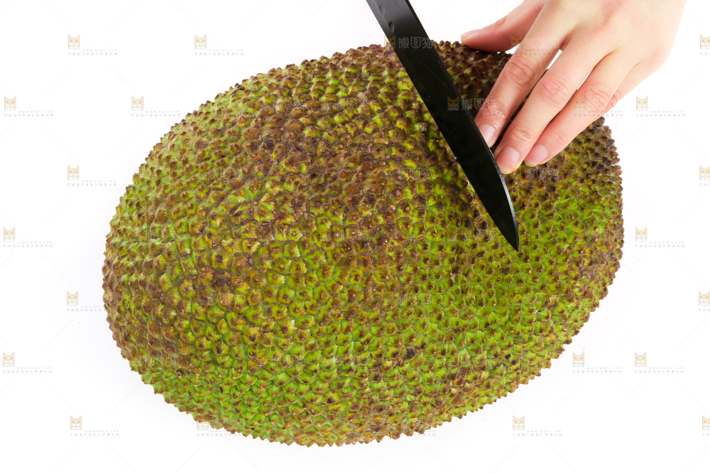 刀切着菠萝蜜