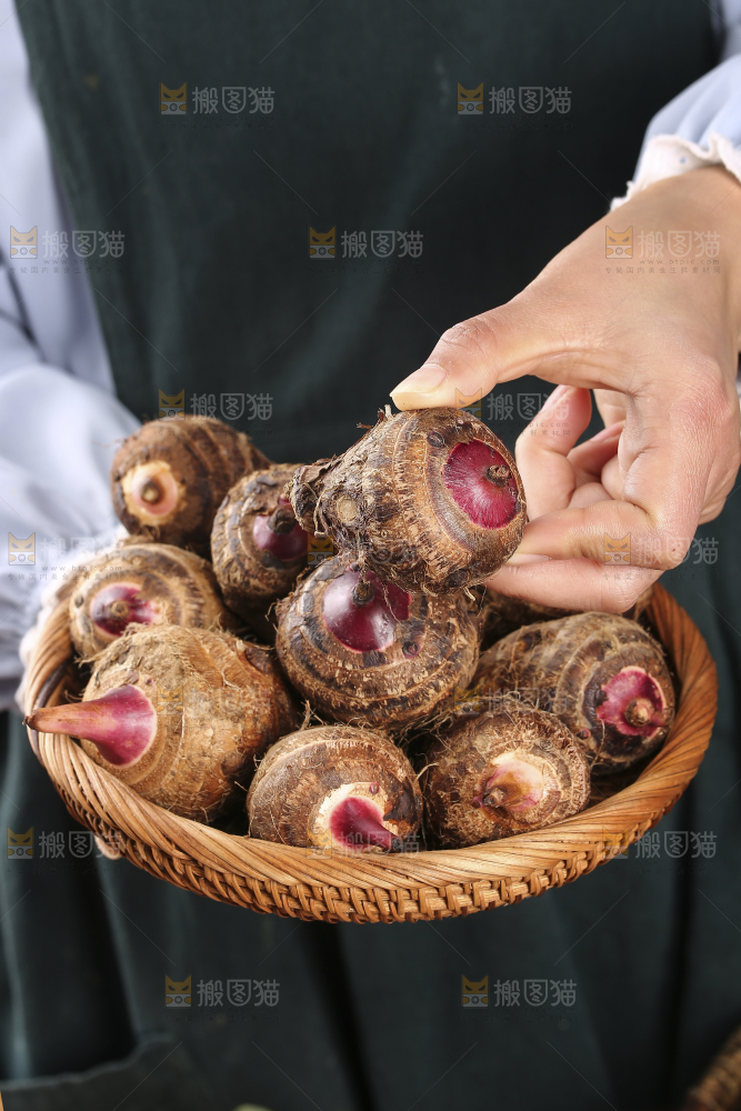 一篮红芽小芋头