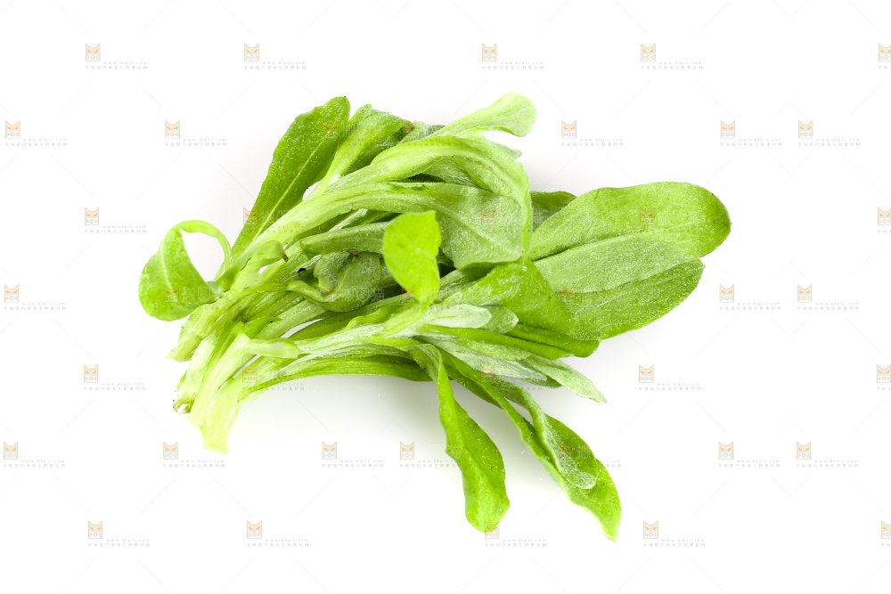 白底上放着清明草