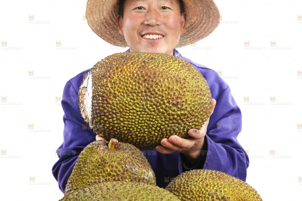 农民手里捧着菠萝蜜