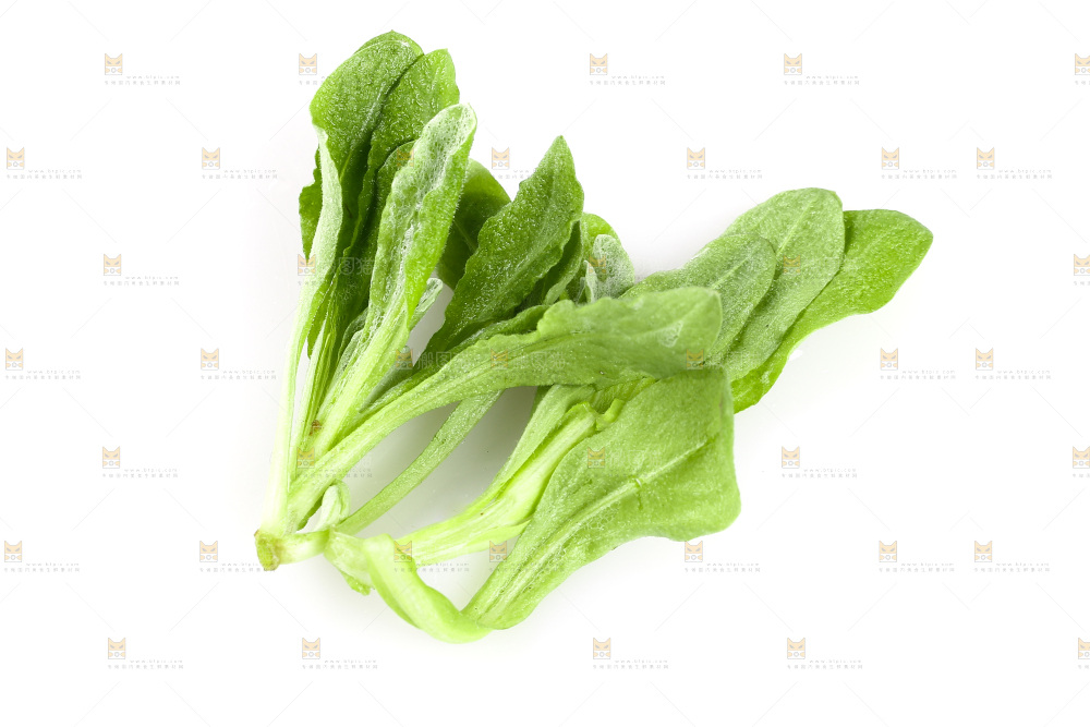 白底上放着清明草