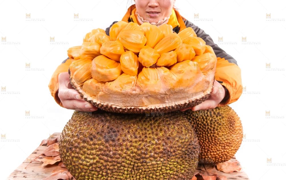 手里捧着红肉菠萝蜜