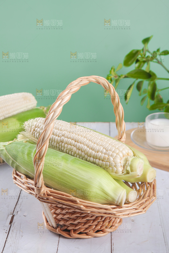 一篮新鲜白糯玉米