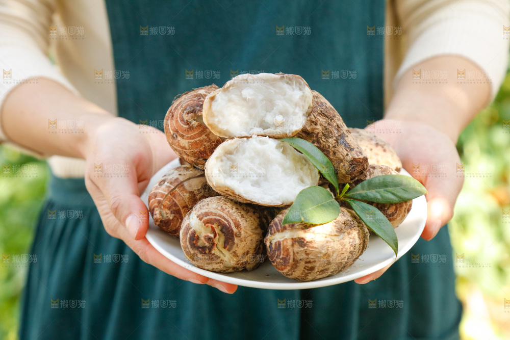 手里端着一盘芋头