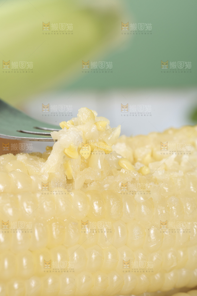 新鲜的甜糯玉米