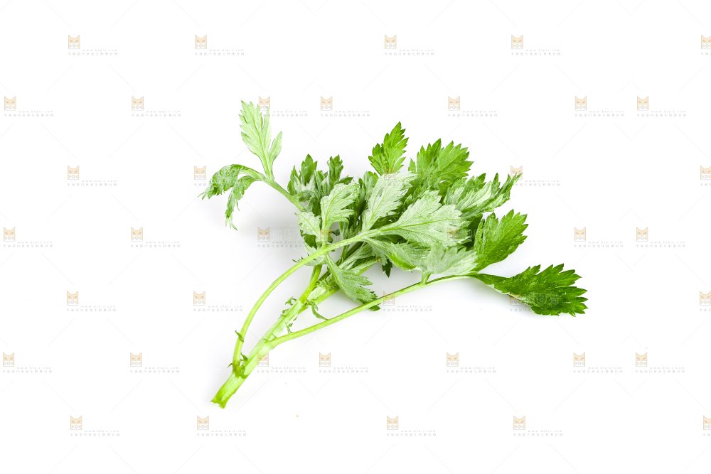 白底上放着艾草叶