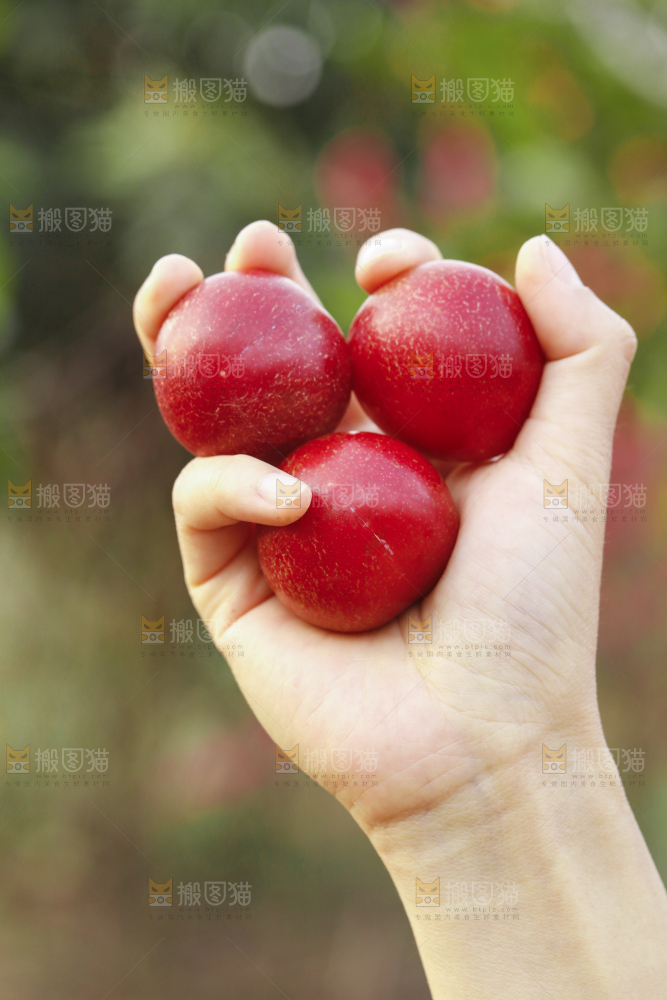 手里拿着樱桃李