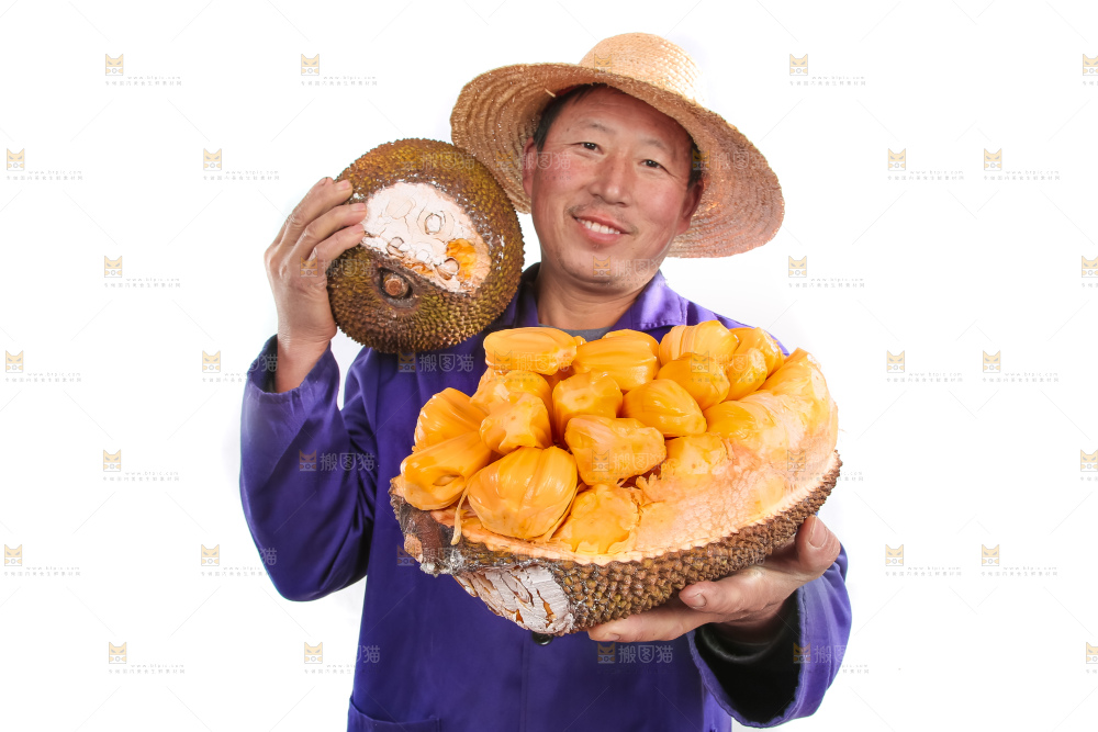 农民手里抱着菠萝蜜