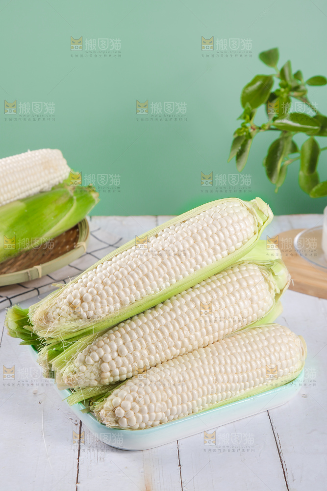 一盘东北白糯玉米