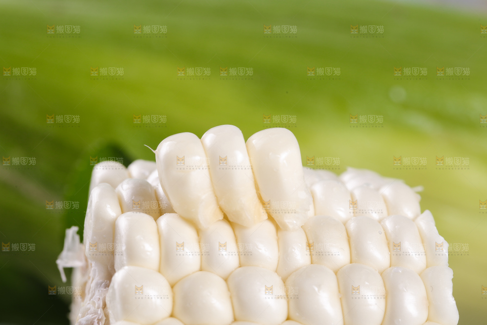 新鲜的白糯玉米