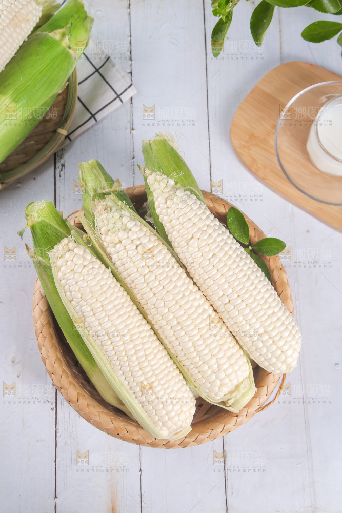 一篮新鲜白糯玉米