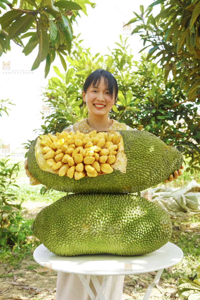 手里抱着黄肉菠萝蜜