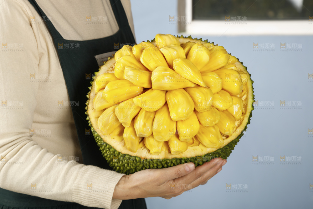 手里抱着海南黄肉菠萝蜜