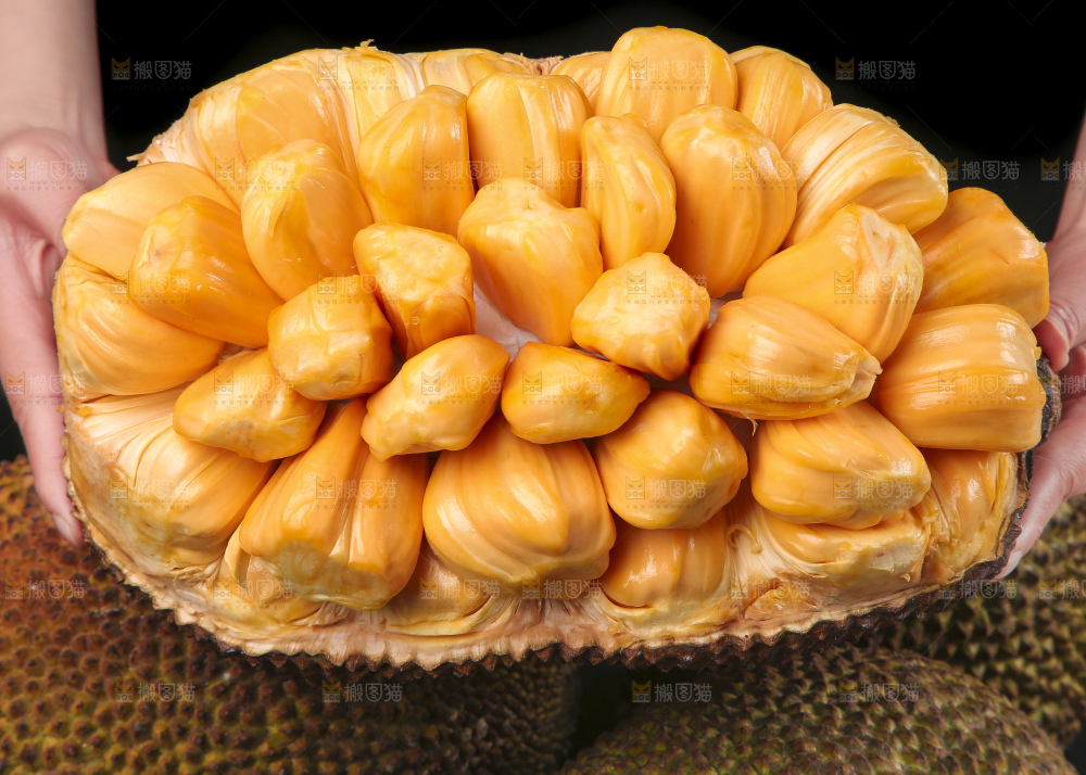 手里捧着红肉菠萝蜜