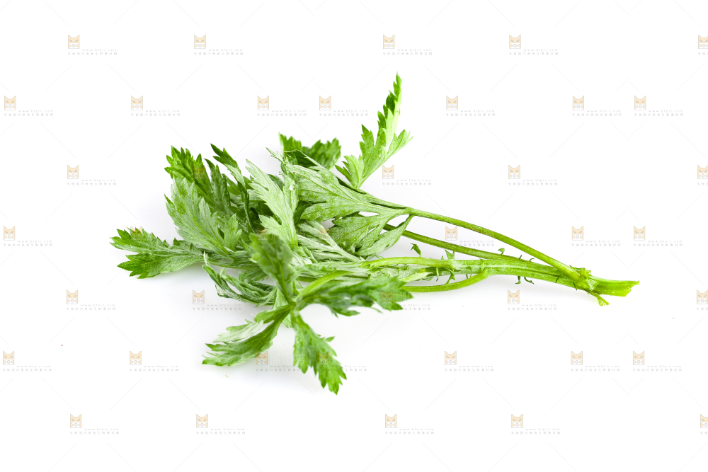 白底上放着艾草叶