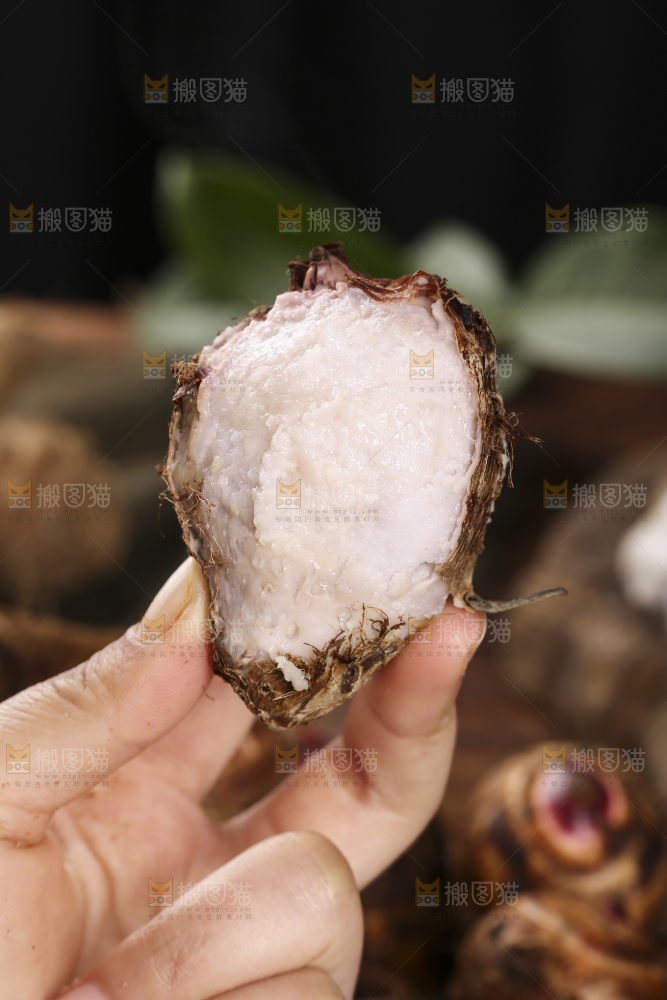 手里拿着熟的红芽芋