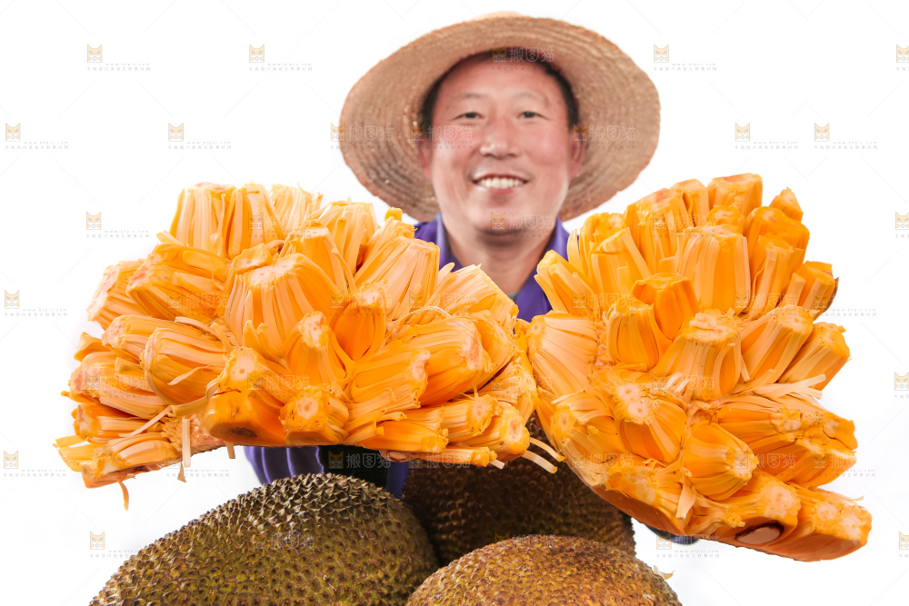手里捧着红肉菠萝蜜