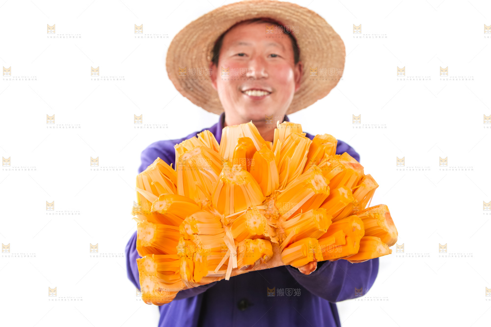 手里捧着红肉菠萝蜜