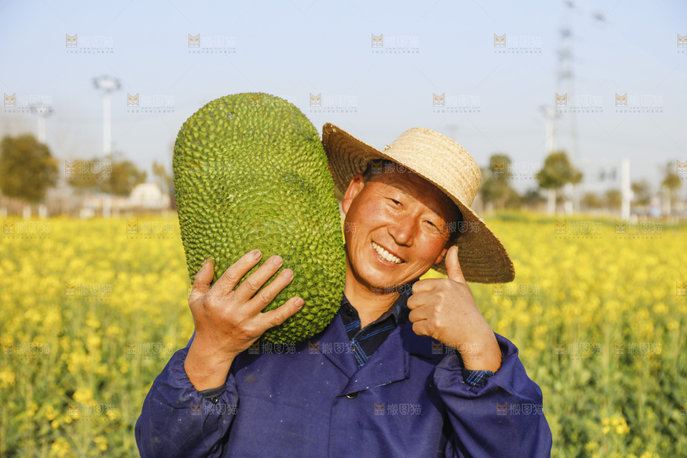 手里抱着海南菠萝蜜