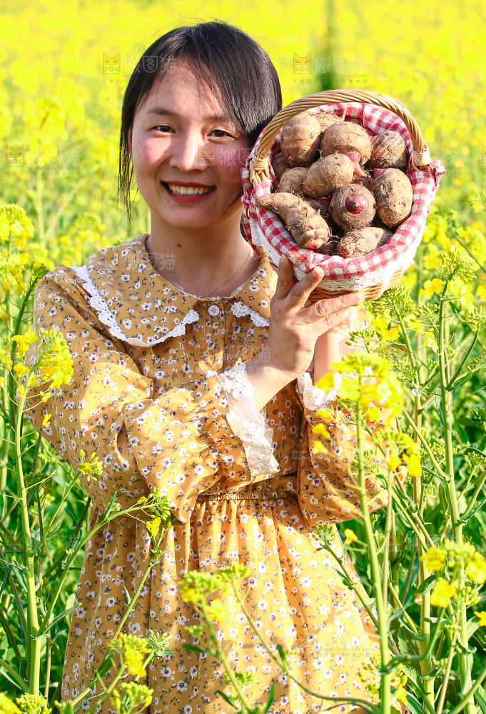 手里提着一篮红芽芋头