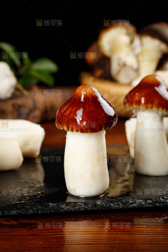 黑底上放着赤茸菇