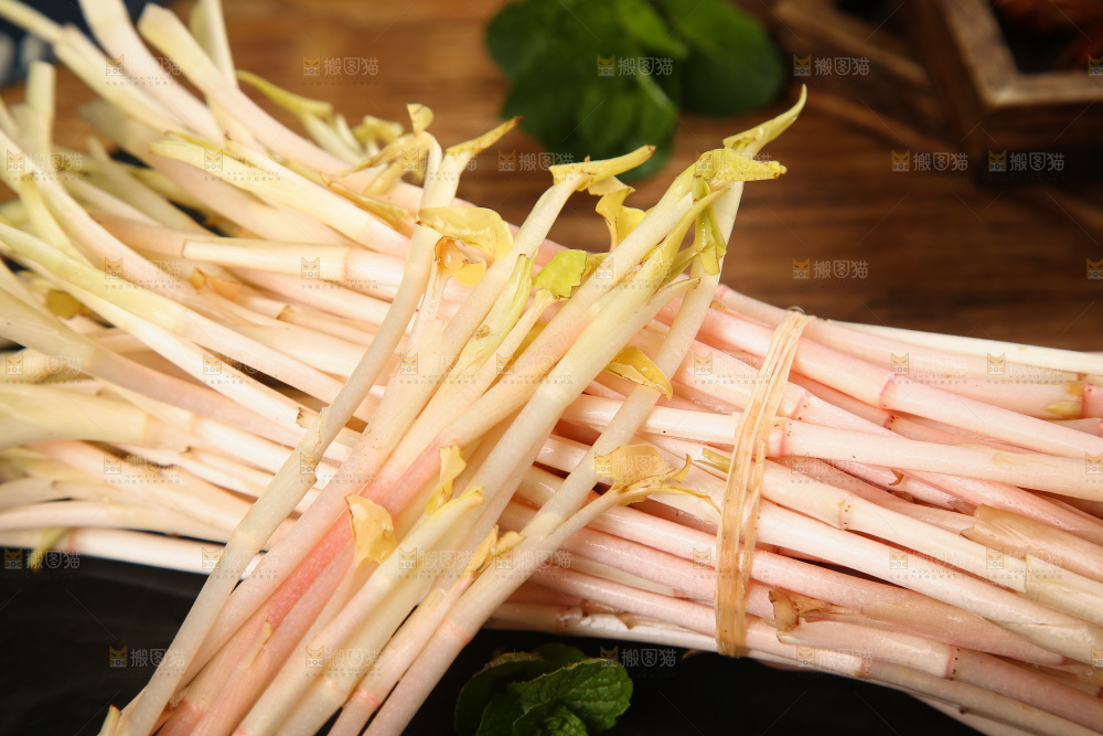 一堆鱼腥草嫩芽