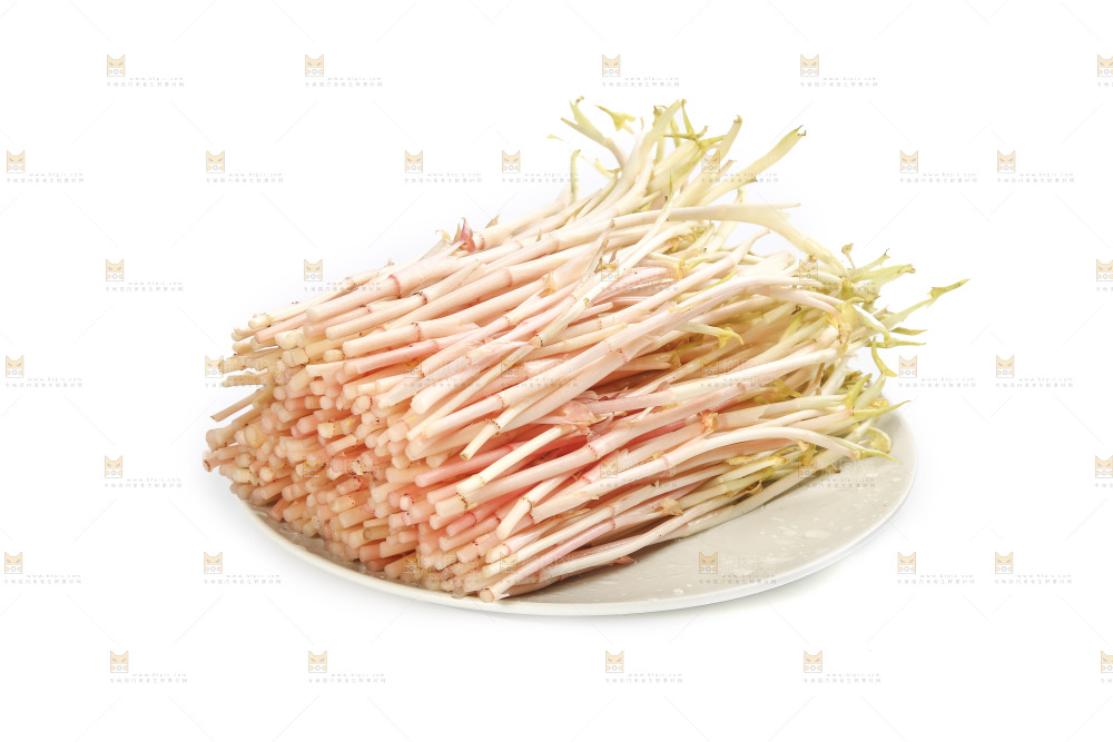 一盘鱼腥草嫩芽
