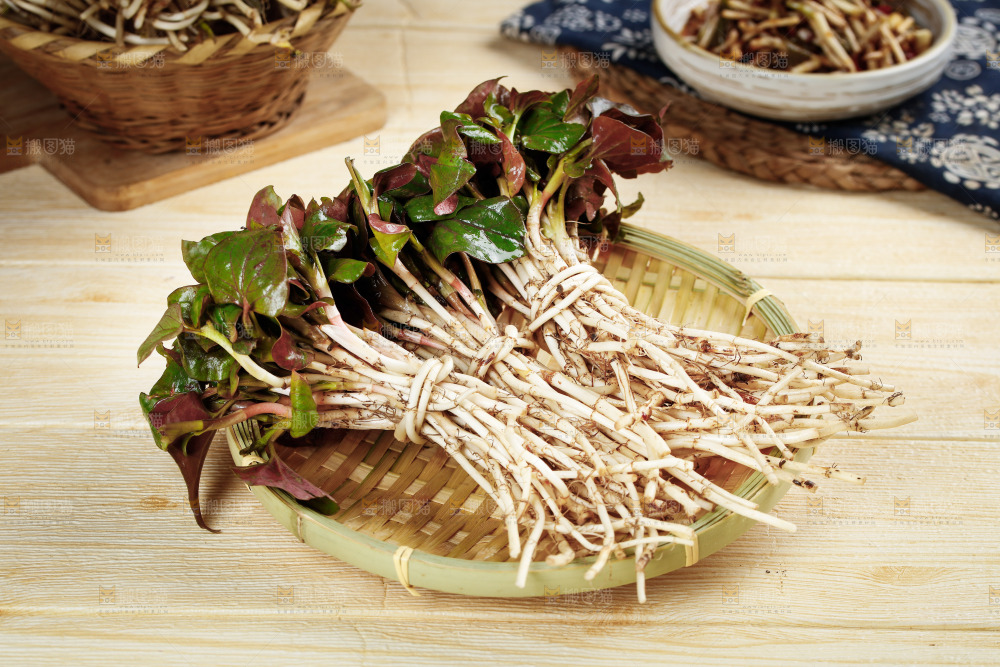一篮新鲜鱼腥草