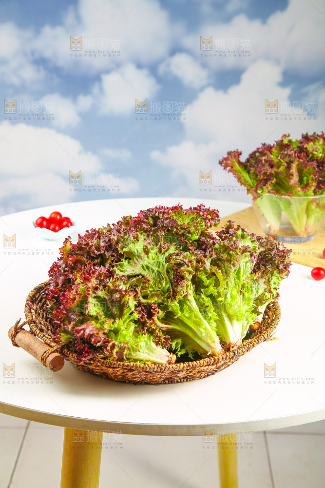 一篮紫叶生菜