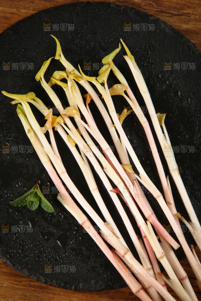新鲜的鱼腥草嫩芽