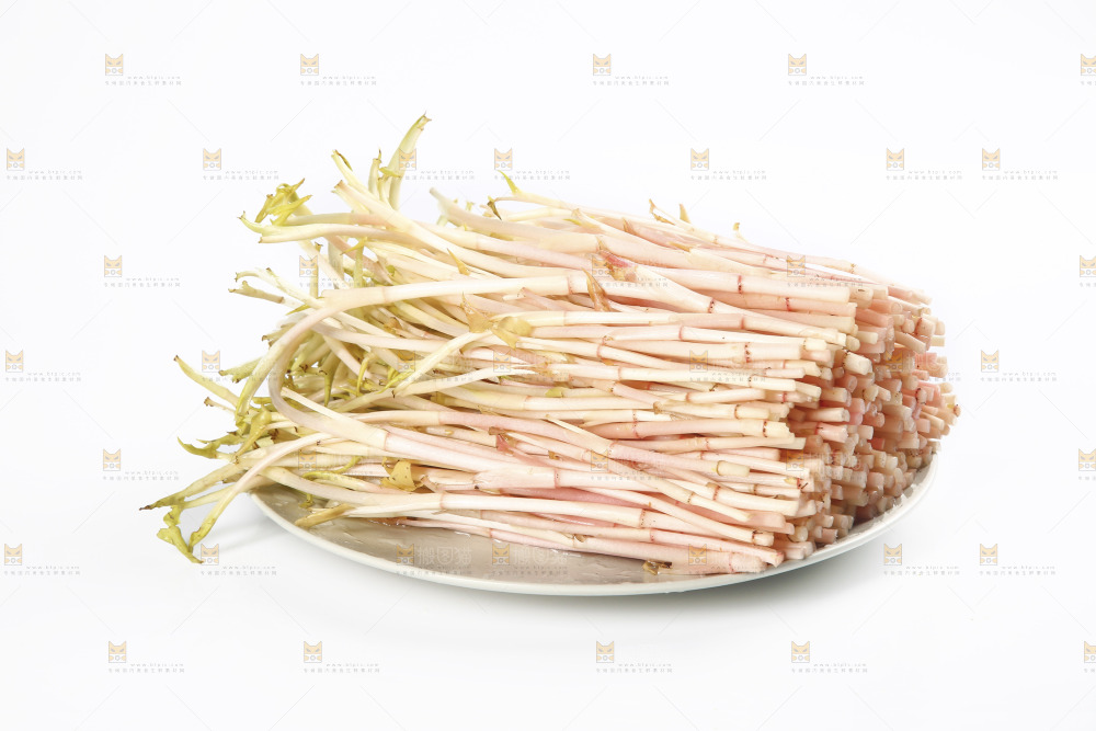 一盘鱼腥草嫩芽