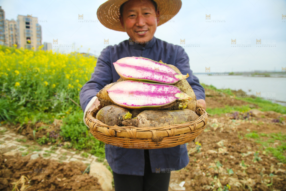 手里端着一篮冰激凌水果萝卜