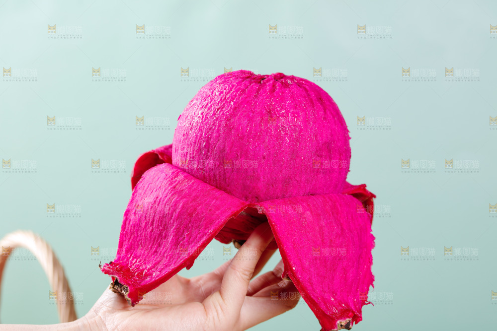 手里拿着火龙果