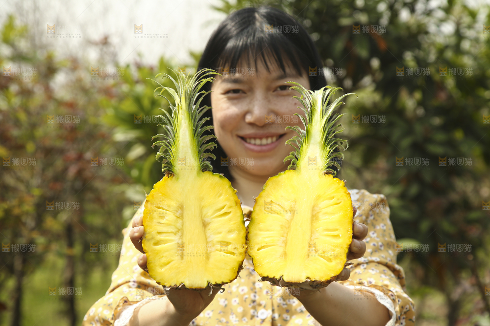 手里拿着切面的菠萝