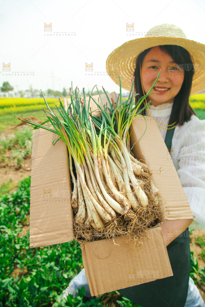 一箱带叶藠头