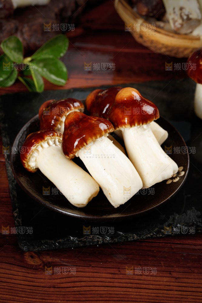 一盘姬松茸