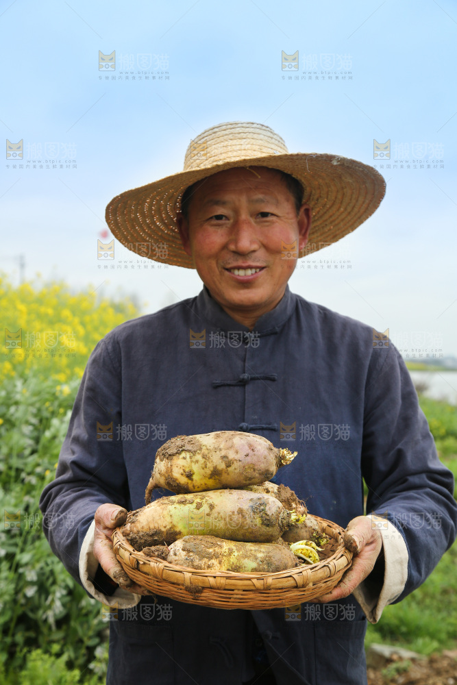手里端着一篮冰激凌水果萝卜
