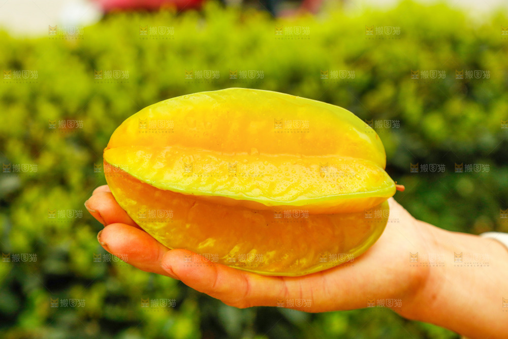 手里拿着杨桃