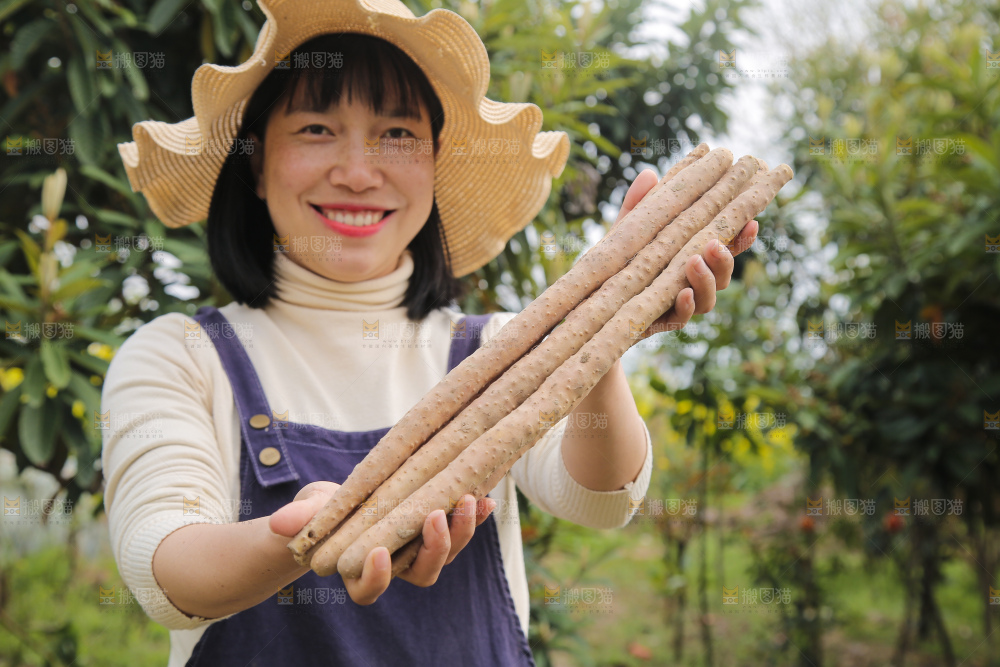 手里拿着山药