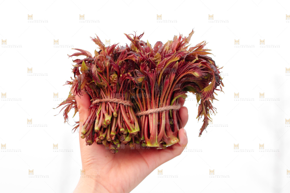 手里拿着红油香椿芽