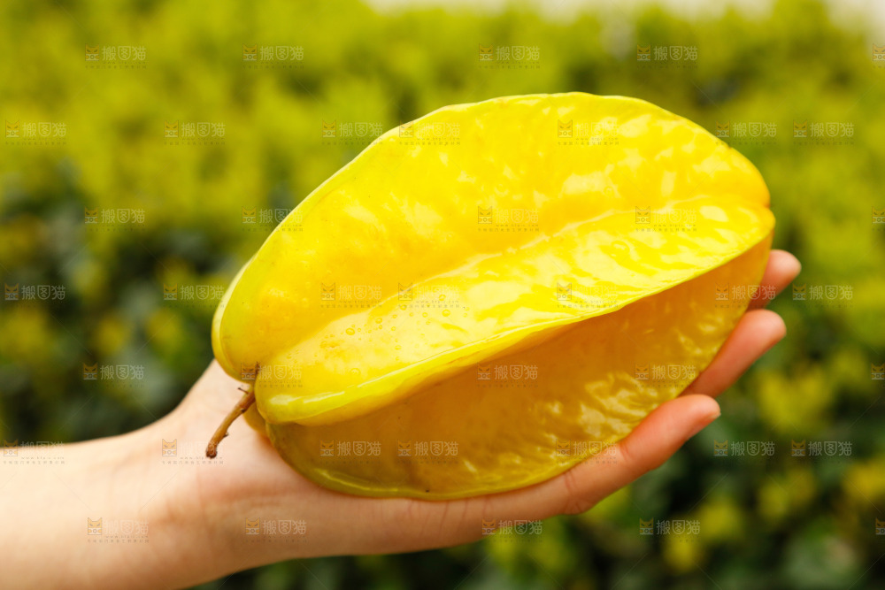 手里拿着杨桃